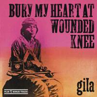 Bury My Heart at Wounded Knee